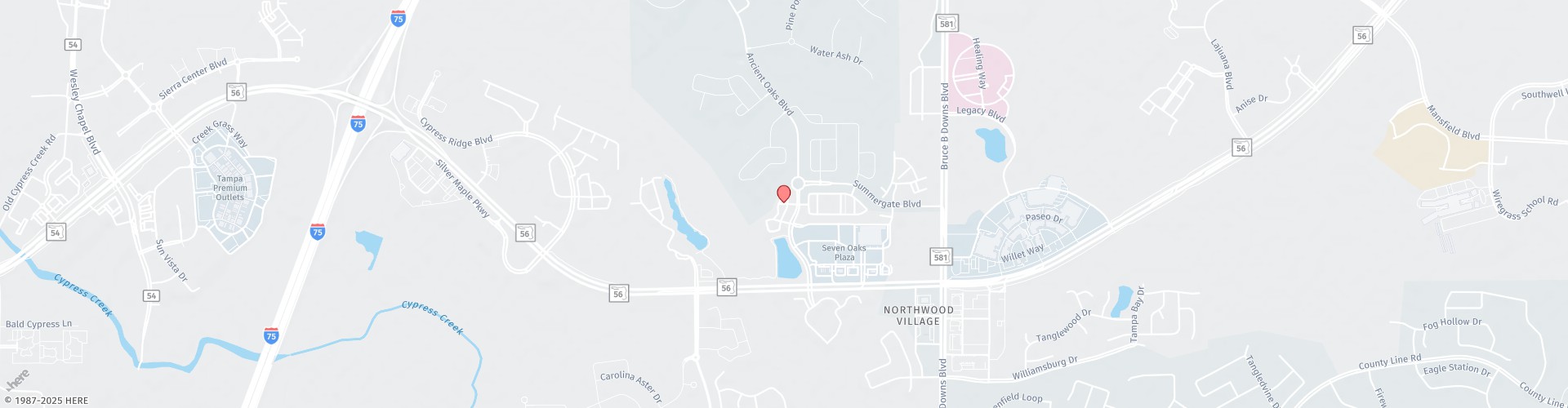 Location Map: 2255 Ashley Oaks Cir Wesley Chapel, FL 33544
