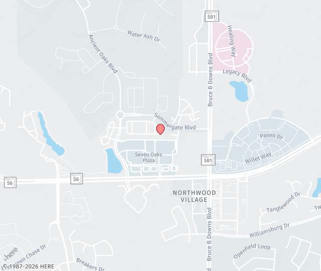 Location Map: 2255 Ashley Oaks, Circle Wesley Chapel, FL 33544