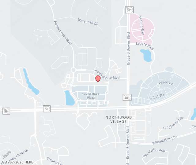 Wesley Chapel, FL